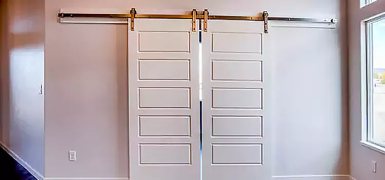 Glass Barn Door with Installation Hardware Kit Doral